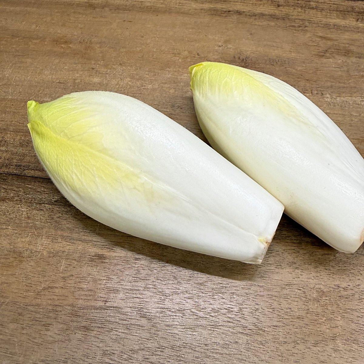 Witloof
