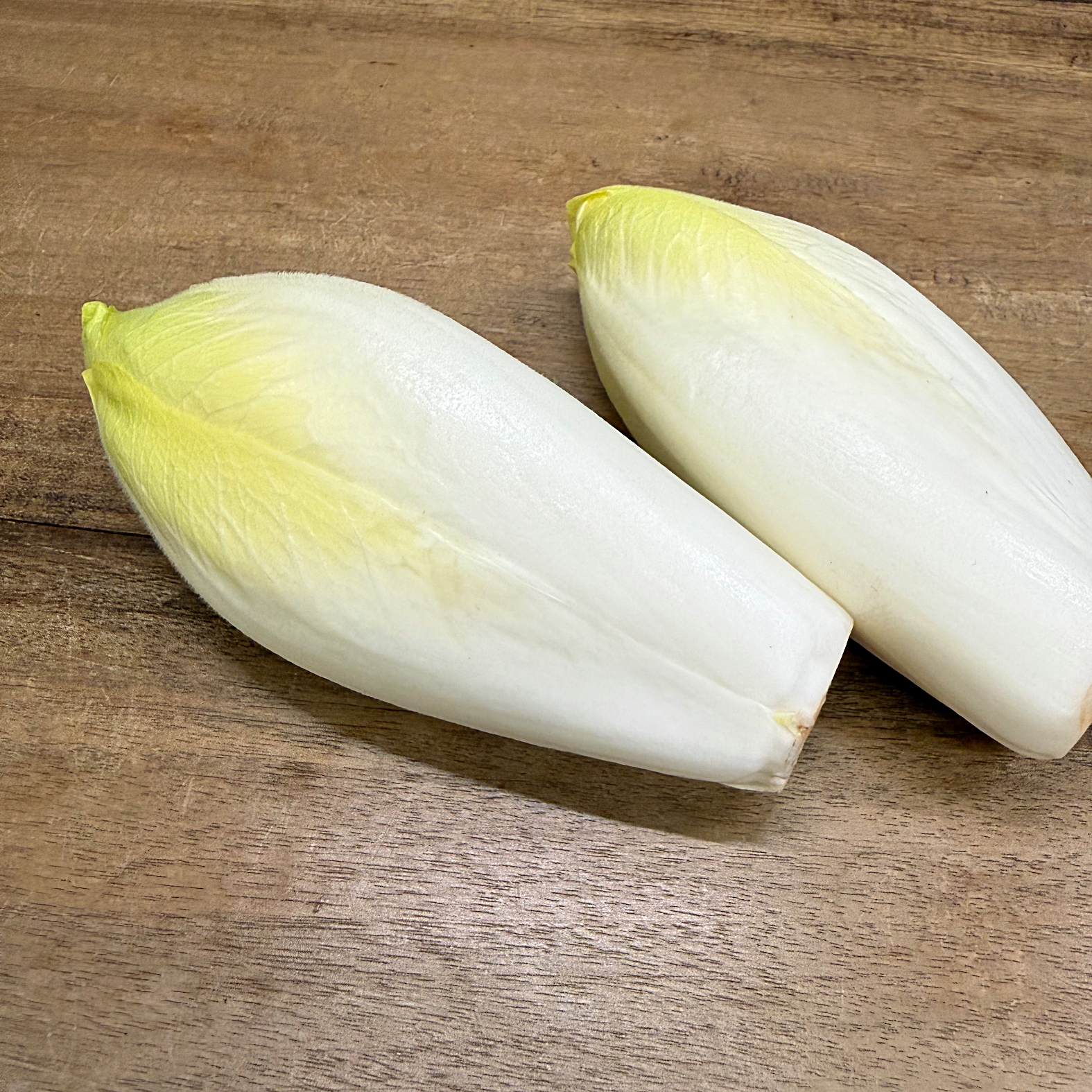 Witloof