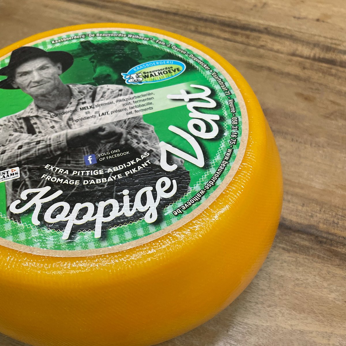Koppige Vent